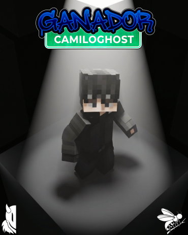 Ganador de concurso
